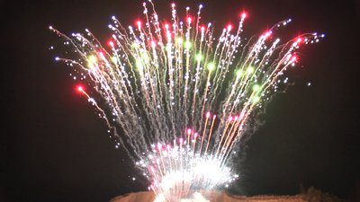 #20567 Cakes 1.0 195 shots