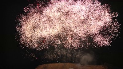 #20566 Cakes 1.2 130 shots