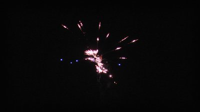 #20650 Cakes 1.2 25 shots