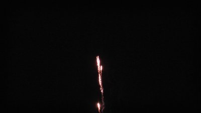 #20619 Cakes 0.8 25 shots