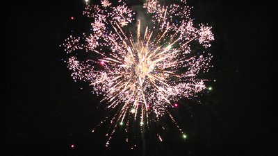 #19074 Cakes 1.2 25 shots