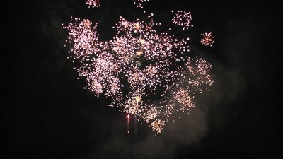 #14493 盆花1.0 10发数