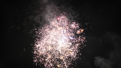 #19063 Cakes 1.0 37 shots