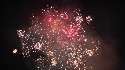 #20707 Module Cakes 1.0 100 shots