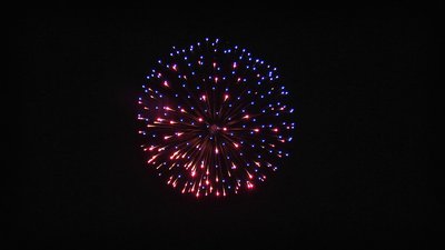 #20841 Shell 6.0"
