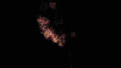 #15727 Compact 0.8 100 coups