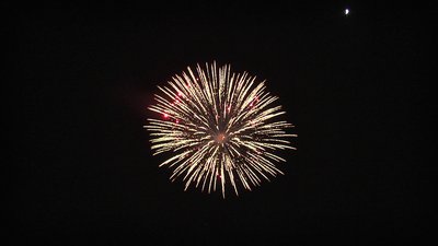 #20253 Shell 6.0"