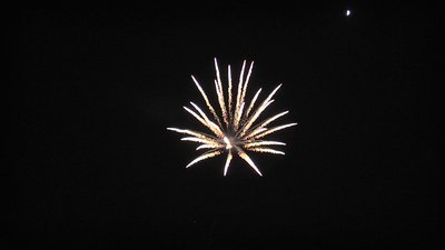 #20245 Shell 5.0"