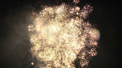 #19063 Cakes 1.0 37 shots