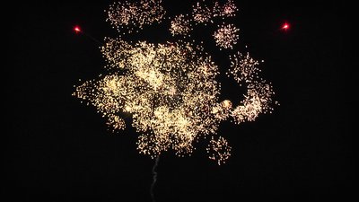 #19085 Cakes 1.2 25 shots