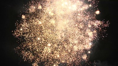 #15284 盆花1.2 100发数