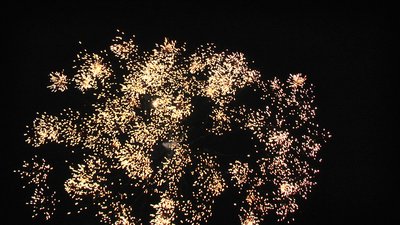 #16773 Compact 40x0.8"/32x1.0"/48x1.2" 120 coups