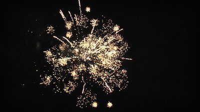 #15377 盆花15x0.8"/35x1.2" 50发数