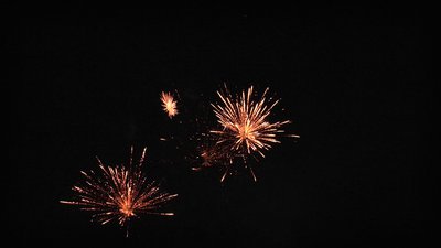 #15738 盆花0.8 25发数