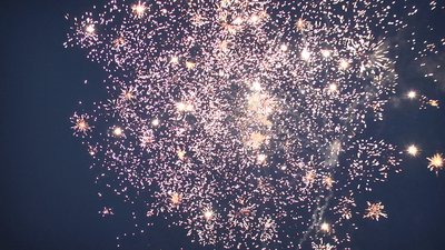 #15129 盆花1.0 25发数