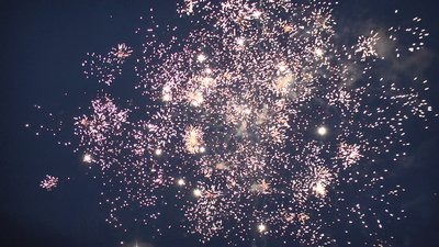 #15129 盆花1.0 25发数