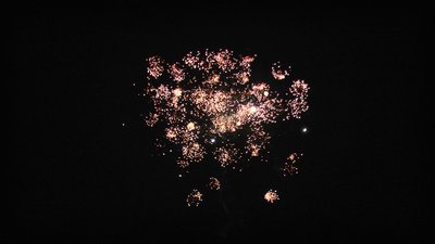 #14493 盆花1.0 10发数