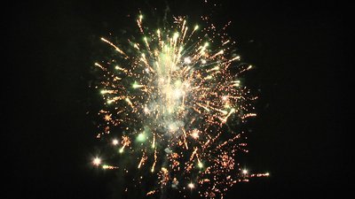 #14489 盆花0.8 36发数