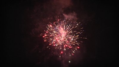 #15090 盆花1.2 13发数