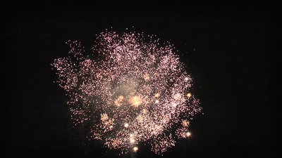 #15371 盆花100x1.0"/48x1.2" 148发数