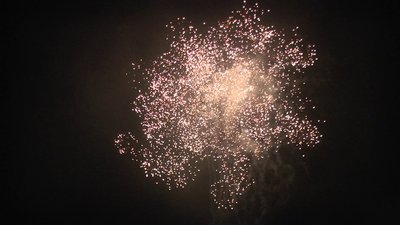 #7303 盆花0.8 16发数