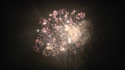 #7303 盆花0.8 16发数