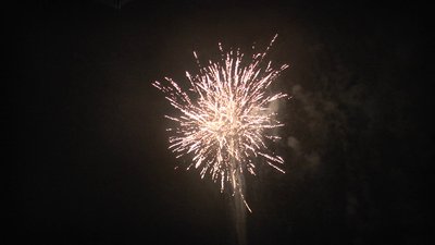 #15086 盆花0.8 100发数