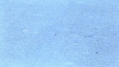 #6178 FIRECRACKERS Firecrackers No.1 K0201 one Bang