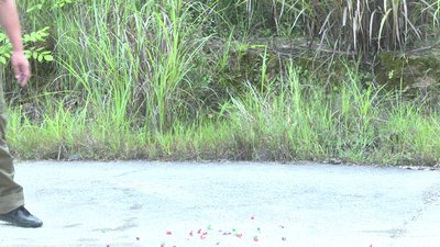 #7936 FIRECRACKERS Pop Pop