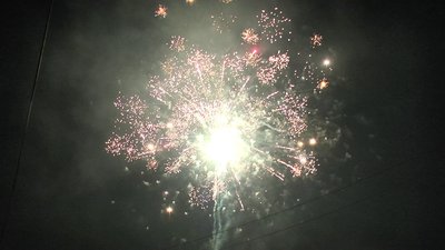 #15445 盆花1.0 145发数