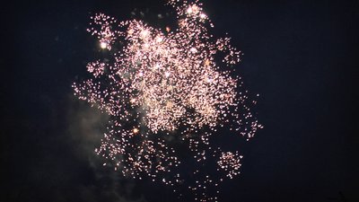 #17651 Cakes 98x0.6"/10x0.8" 108 shots