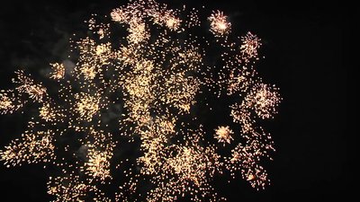 #15377 盆花15x0.8"/35x1.2" 50发数