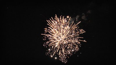 #25138 盆花1.2 19发数