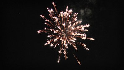 #13827 Cakes 1.5 36 shots