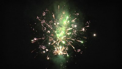 #25316 盆花1.0 100发数