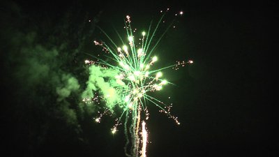 #25287 盆花1.2 100发数