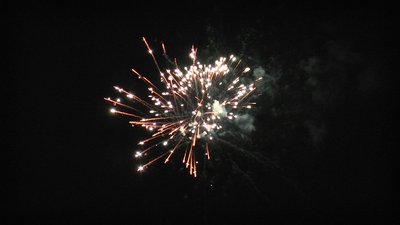 #14404 盆花1.2 25发数