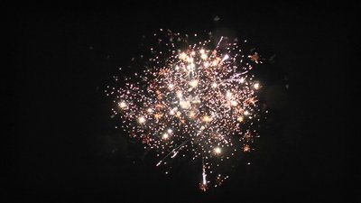 #15294 Módulo Tortas 0.8 25 tiros