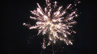 #13827 Cakes 1.5 36 shots