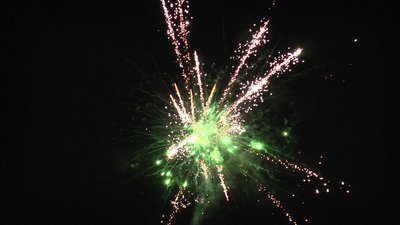 #25320 盆花1.0 49发数