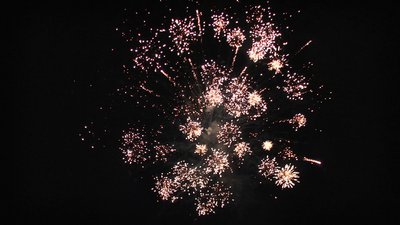 #25289 Cakes 1.2 49 shots