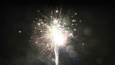 #25314 盆花1.0 100发数