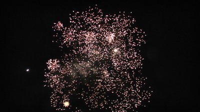 #25325 盆花1.0 36发数