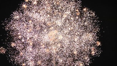 #14815 盆花1.2 214发数