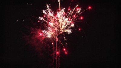 #15193 盆花1.2 25发数