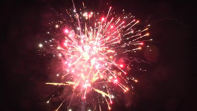 #15193 盆花1.2 25发数