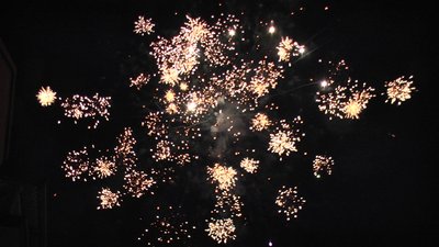 #16945 Cakes 1.0 13 shots