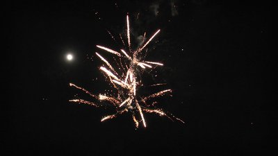 #15141 Tortas 1.2 25 tiros