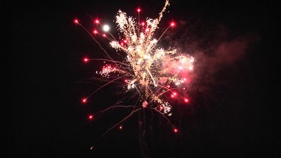 #15193 盆花1.2 25发数