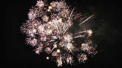 #15120 盆花1.2 138发数